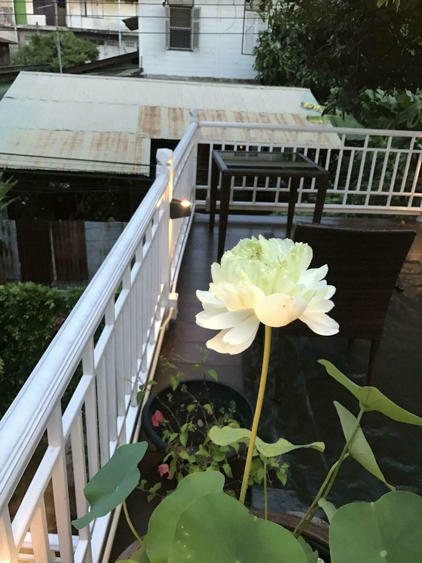 Baankachitpan Bangkok Hotel Bagian luar foto